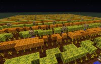 Huge Fruit Farm