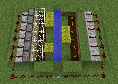 Exemplary melon farm