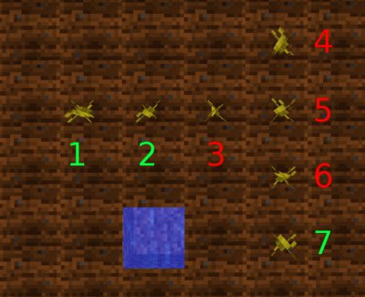 Farm Layout
